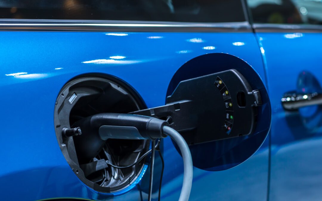 Efficiency and Convenience:  Examining Fast and Slow EV Charging