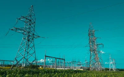 Guardians of the Grid: Key Players in the US Electricity Sector