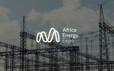 African Power Grid: Bridging the T&D Investment Gap with Private Sector Participation