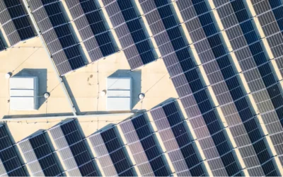 Harnessing the Sun: The Middle East’s Shift to Solar Power and Storage